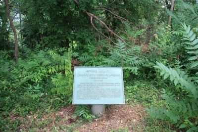 49th Ohio Infantry Marker. Click for full size. 49th Ohio Infantry Marker image. Click for full size.