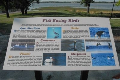Fish-Eating Birds Marker image. Click for full size.