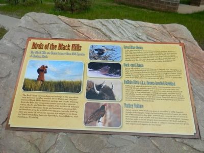 Bird of the Black Hills Marker image. Click for full size.
