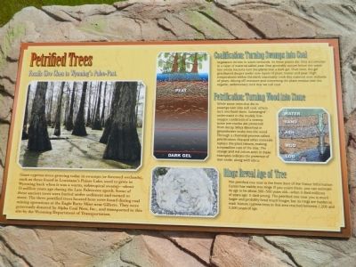 Petrified Trees Marker image. Click for full size.