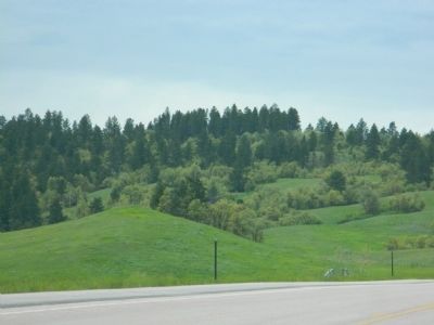 Black Hills image. Click for full size.