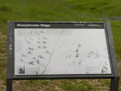 Sharpshooter Ridge Marker image. Click for full size.