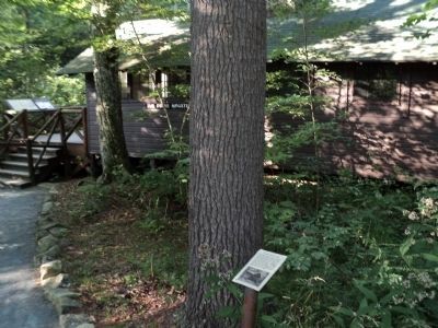 Marker at Rapidan Camp. Click for full size. Marker at Rapidan Camp image. Click for full size.