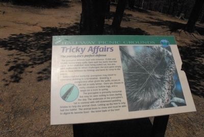 Tricky Affairs Marker image. Click for full size.