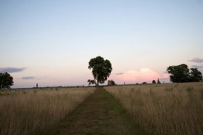 The Bloody Angle from near Emmitsburg Road.. Click for full size. The Bloody Angle from near Emmitsburg Road. image. Click for full size.