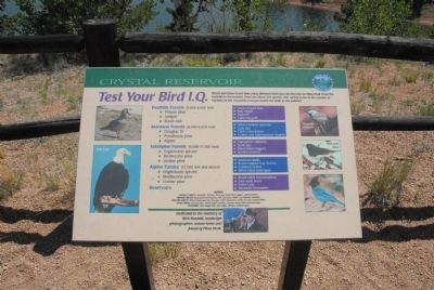 Test Your Bird I.Q. Marker. Click for full size. Test Your Bird I.Q. Marker image. Click for full size.