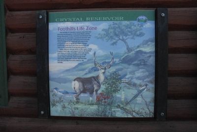 Take a Closer Look...Foothills Life Zone Marker image. Click for full size.