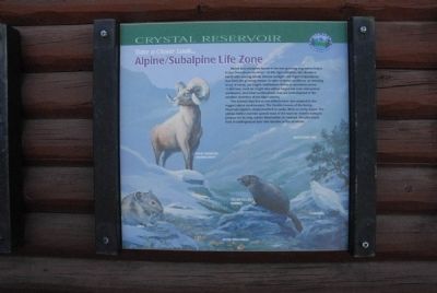Take a Closer Look...Alpine/Subalpine Life Zone Marker image. Click for full size.