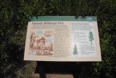 Forests Without Fire Marker. Click for full size. Forests Without Fire Marker image. Click for full size.