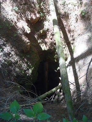 Vertical Shaft to the North Bloomfield Drain Tunnel. Click for full size. Vertical Shaft to the North Bloomfield Drain Tunnel image. Click for full size.