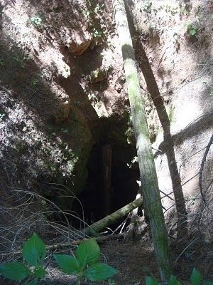 Vertical Shaft to the North Bloomfield Drain Tunnel image. Click for full size.