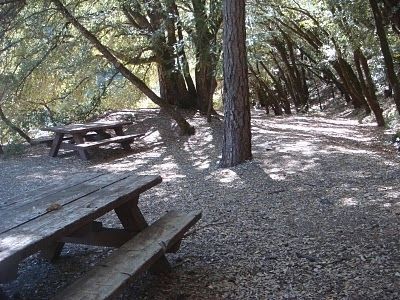 These picnic tables rest on tailings drained by the North Bloomfield Drain Tunnel.. Click for full size. These picnic tables rest on tailings drained by the North Bloomfield Drain Tunnel. image. Click for full size.