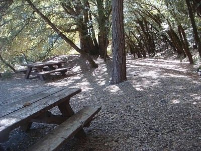 These picnic tables rest on tailings drained by the North Bloomfield Drain Tunnel. image. Click for full size.