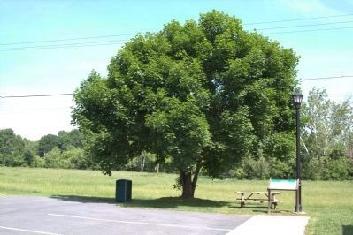 Chilhowie Marker. Click for full size. Chilhowie Marker image. Click for full size.