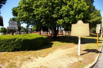 Confederate Dead Marker image. Click for full size.