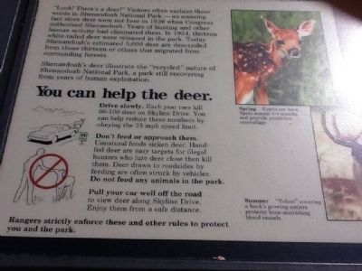 Shenandoah’s Deer Marker image. Click for full size.