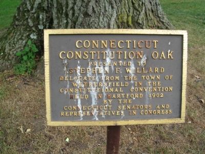 Connecticut Constitution Oak Marker image. Click for full size.
