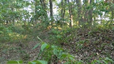 Overgrown Civil War earthworks off the Fort Mahan trail image. Click for full size.