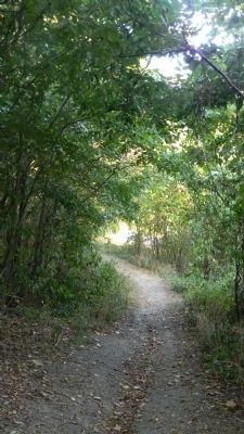 Fort Mahan Park hiking trail - view downhill toward the Fort Mahan marker and Benning Rd. image. Click for full size.