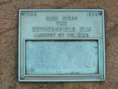 Wethersfield Elm Marker. Click for full size. Wethersfield Elm Marker image. Click for full size.