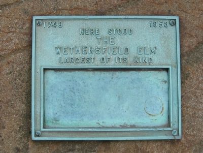 Wethersfield Elm Marker image. Click for full size.