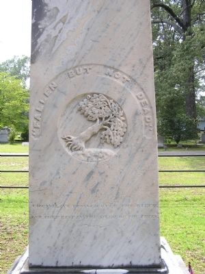 Close up of the left side. Click for full size. Close up of the left side image. Click for full size.