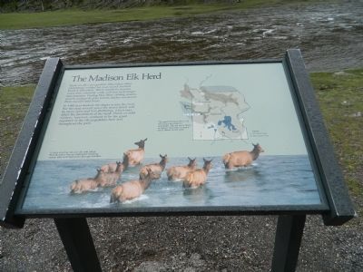The Madison Elk Herd Marker. Click for full size. The Madison Elk Herd Marker image. Click for full size.