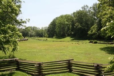Craig�s (Dunn�s) Meadow image. Click for full size.