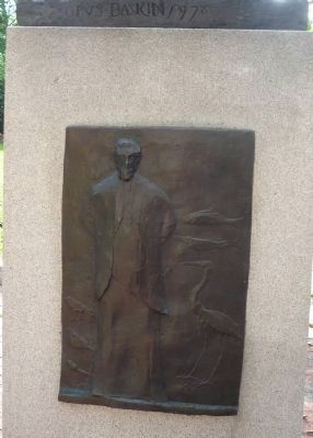 Spencer Fullerton Baird Memorial - artwork on back of the pedestal image. Click for full size.