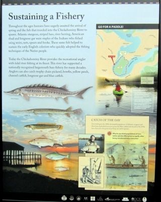 Sustaining a Fishery (right panel). Click for full size. Sustaining a Fishery (right panel) image. Click for full size.
