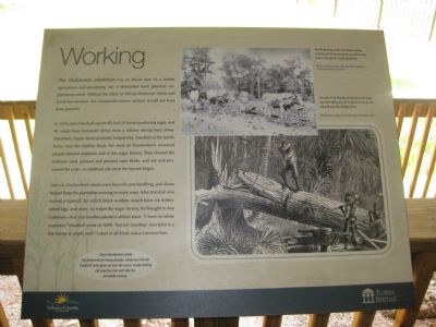 Working Marker. Click for full size. Working Marker image. Click for full size.