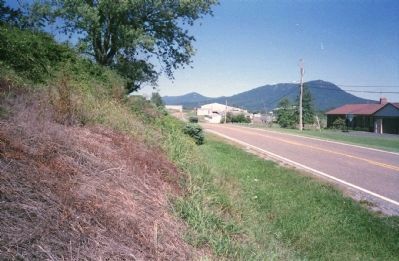 Massanutten Mountain in the distance image. Click for full size.