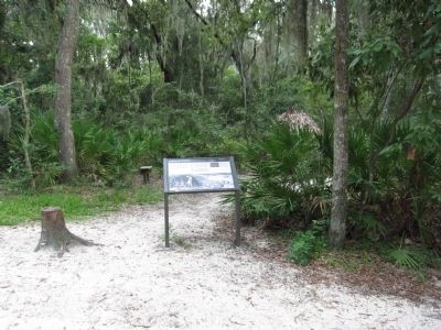 Timucuan Friends Marker. Click for full size. Timucuan Friends Marker image. Click for full size.