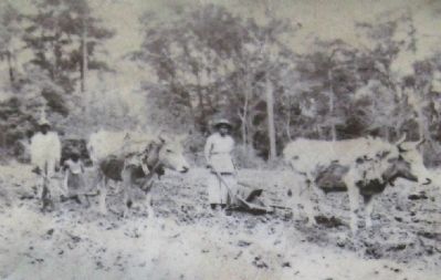 Marker close-up: Farming photo image. Click for full size.