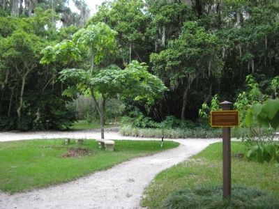 Destruction of Dunlawton Plantation Marker image. Click for full size.