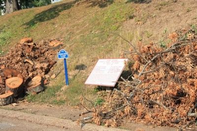 Johnson's Division Marker. Click for full size. Johnson's Division Marker image. Click for full size.
