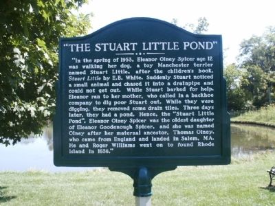 The Stuart Little Pond Marker image. Click for full size.