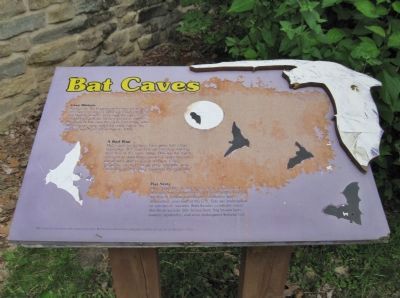 Bat Caves Marker image. Click for full size.
