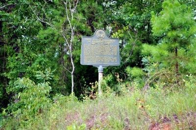 First Seat of Government of Randolph County Marker (original location) image. Click for full size.