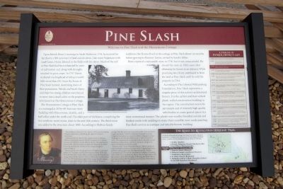Pine Slash Marker image. Click for full size.