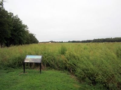 The West House can be seen in the distance. Click for full size. The West House can be seen in the distance image. Click for full size.