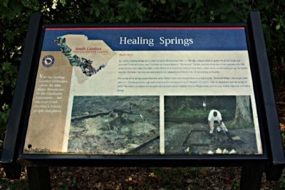 Healing Springs Marker. Click for full size. Healing Springs Marker image. Click for full size.