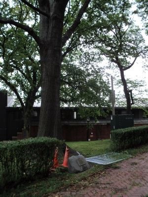 The Pershing Oak Marker image. Click for full size.