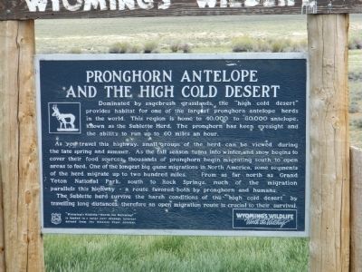 Pronghorn Antelope and the High Cold Desert Marker image. Click for full size.