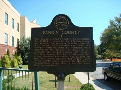 Fannin Couty Marker image. Click for full size.