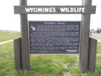 Wyoming's Wildlife image. Click for full size.