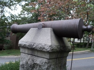 Closeup of Cannon image. Click for full size.