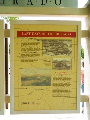 Last Days of the Buffalo Marker image. Click for full size.