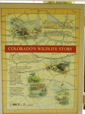Colorado's Wildlife Story Marker image. Click for full size.