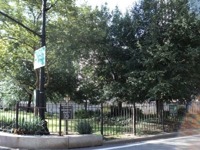 Living Memorial Grove image. Click for full size.